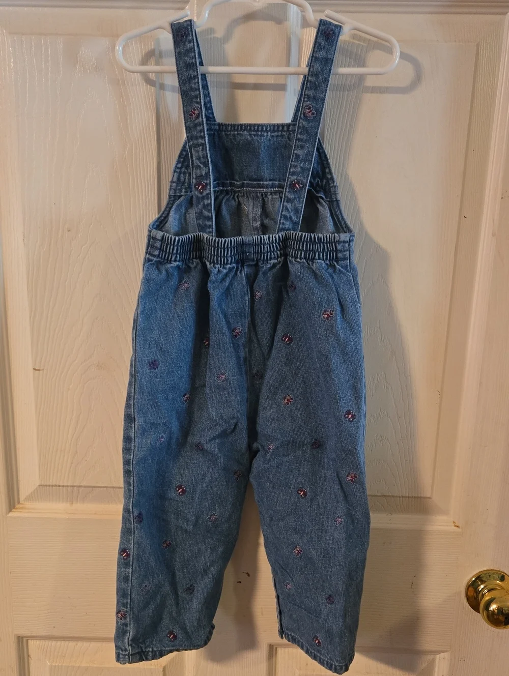 Gymboree Denim Embroidered Overalls